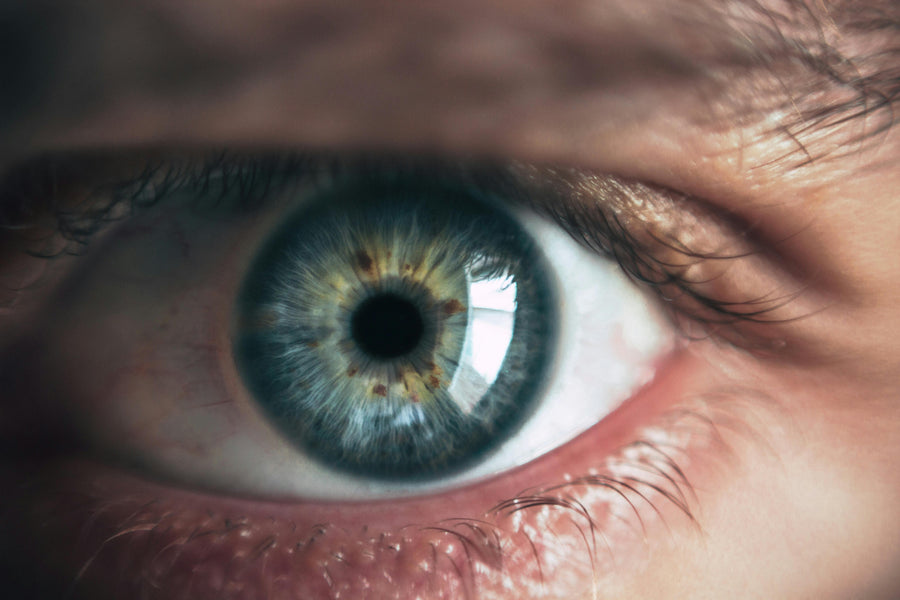 Toolbox Talk: Eye First Aid — Act Fast to Prevent Lasting Damage