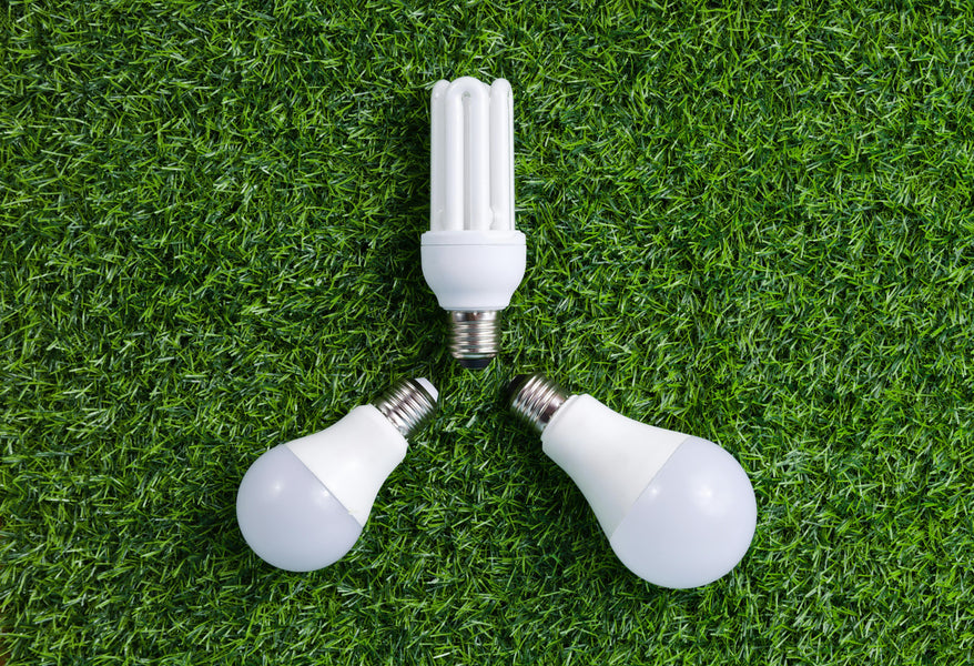Sustainability Topic: Energy Efficient Light Bulbs — Bright Ideas That Save