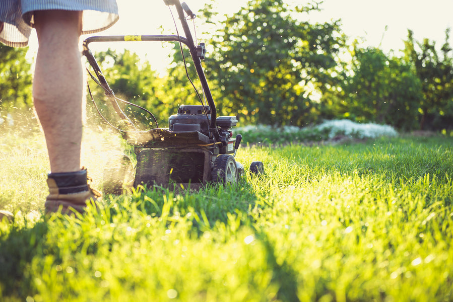 Safety Topic: Walk-Behind Lawnmowers — Cut Grass, Not Corners